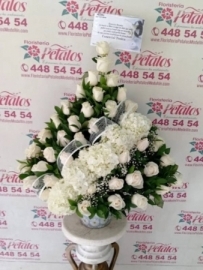 funerarias-campo-de-paz-sala-villanueva-cementerios-condolencias-salas-villanueva-sinceramente-conmovidorf-18