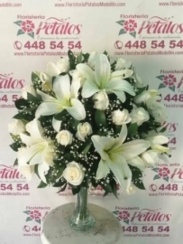 funerarias-campo-de-paz-sala-villanueva-cementerios-condolencias-salas-villanueva-dios-tiene-un-lugar-muy-especial-para-elrf-28