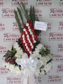 funerarias-campo-de-paz-sala-villanueva-cementerios-condolencias-salas-villanuevalamentamos-inmensamente-tan-irreparable-perdidarf-31